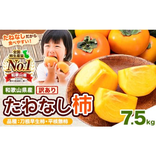 ふるさと納税 果物類 柿 和歌山県 紀の川市  ご家庭用／訳あり たねなし柿 約7.5kg《2026年9月中旬-11月上旬頃より出荷予定》 和歌山県 紀の川市 柿 カキ かき…_1