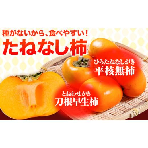 ふるさと納税 果物類 柿 和歌山県 紀の川市  ご家庭用／訳あり たねなし柿 約7.5kg《2026年9月中旬-11月上旬頃より出荷予定》 和歌山県 紀の川市 柿 カキ かき…_2