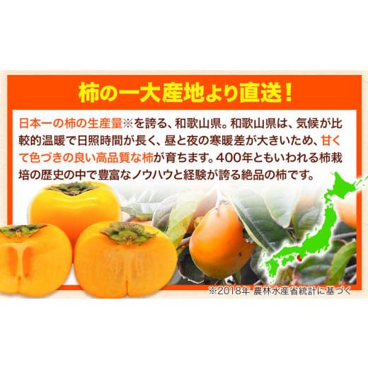 ふるさと納税 果物類 柿 和歌山県 紀の川市  ご家庭用／訳あり たねなし柿 約7.5kg《2026年9月中旬-11月上旬頃より出荷予定》 和歌山県 紀の川市 柿 カキ かき…_4