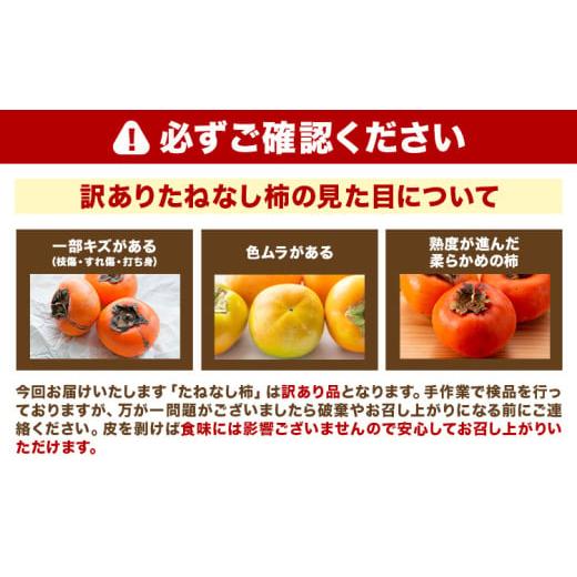 ふるさと納税 果物類 柿 和歌山県 紀の川市  ご家庭用／訳あり たねなし柿 約7.5kg《2026年9月中旬-11月上旬頃より出荷予定》 和歌山県 紀の川市 柿 カキ かき…_5