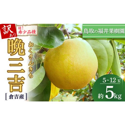 ふるさと納税 梨 鳥取県 倉吉市 訳あり 期間限定 生産者応援品 令和8年産 希少梨 晩三吉 5kg(5〜12玉) 倉吉産 福井果樹園 おくさんきち 梨 なし ナシ ブラ…