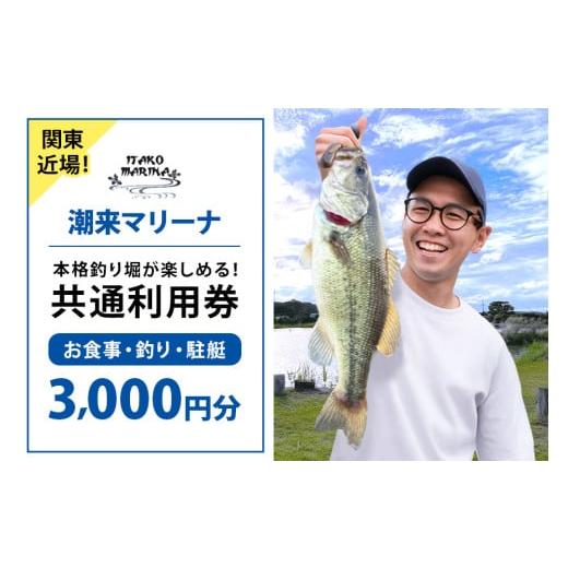 ふるさと納税 イベントやチケット等 茨城県 潮来市 潮来マリーナ 施設内共通利用券 3,000円分 (1,000円×3枚) へらブナ釣り ブラックバス釣り ニジマス釣り 渚…