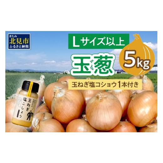 ふるさと納税 野菜類 玉ねぎ 北海道 北見市 2025年11月中お届け 玉葱 5kg Lサイズ以上 玉ねぎ塩こしょう 1本付き ( タマネギ 玉葱 野菜 調味料 塩コショウ ) …