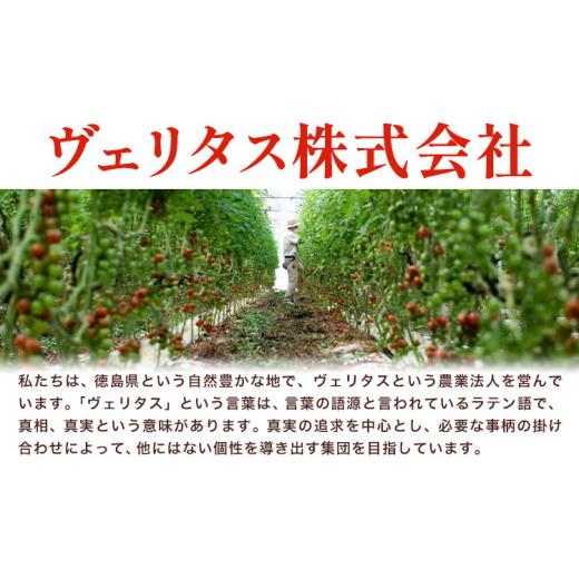 ふるさと納税 トマト ミニトマト 徳島県 美馬市 ミニトマト 750g ( 250g × 3種類 )《11月上旬-6月末頃出荷》ヴェリタス株式会社 徳島県 美馬市 青果物 野菜 …_2