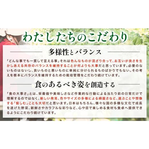 ふるさと納税 トマト ミニトマト 徳島県 美馬市 ミニトマト 750g ( 250g × 3種類 )《11月上旬-6月末頃出荷》ヴェリタス株式会社 徳島県 美馬市 青果物 野菜 …_3