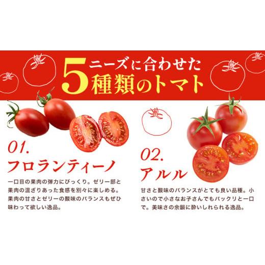 ふるさと納税 トマト ミニトマト 徳島県 美馬市 ミニトマト 750g ( 250g × 3種類 )《11月上旬-6月末頃出荷》ヴェリタス株式会社 徳島県 美馬市 青果物 野菜 …_4