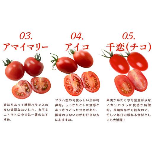 ふるさと納税 トマト ミニトマト 徳島県 美馬市 ミニトマト 750g ( 250g × 3種類 )《11月上旬-6月末頃出荷》ヴェリタス株式会社 徳島県 美馬市 青果物 野菜 …_5