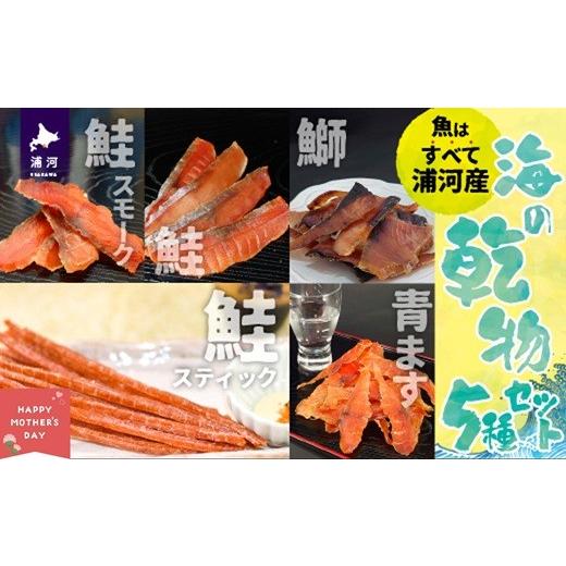 ふるさと納税 乾物 北海道 浦河町 母の日対応 北海道日高産 海鮮乾物5種セット