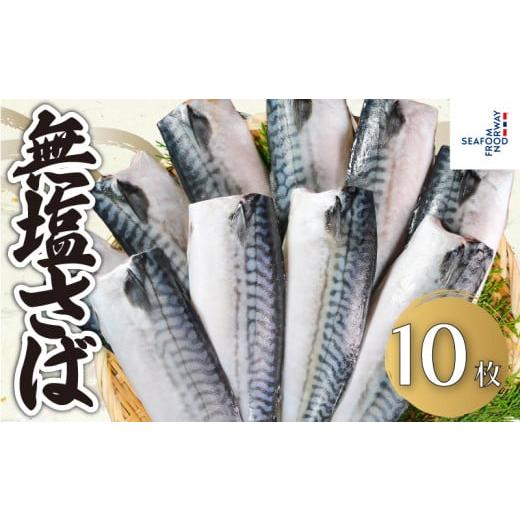 ふるさと納税 旬の鮮魚等 千葉県 銚子市 無塩さば 10枚 さば 鯖 無塩 無塩鯖 さばフィーレ 鯖フィーレ さばフィレ 鯖フィレ 食塩不使用 切り身 切身 無添加 添…