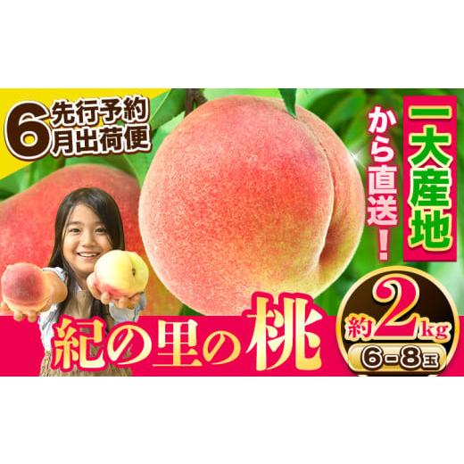 ふるさと納税 もも 和歌山県 紀の川市 チョイス限定 先行6月出荷便 桃 もも〜とろける甘さ〜 紀の里の桃 約2kg(6-8玉入り) 先行予約 [6月限定出荷] 桃開き …