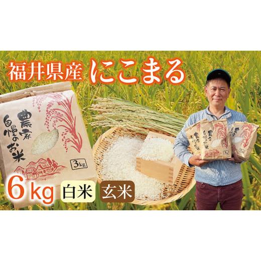 ふるさと納税 米 にこまる 福井県 越前市 [先行予約・新米]にこまる 6kg(3kg×2袋) /令和8年 福井県産 (白米)2026年11月発送 少量サイズ便利 11月(白米…