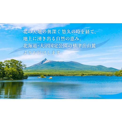 ふるさと納税 水・ミネラルウォーター 500mL〜999mL 北海道 七飯町 ミネラルウォーター夢水氣（500ml×24本）2セット 天然アルカリイオン水 軟水 ふるさと納税…の画像