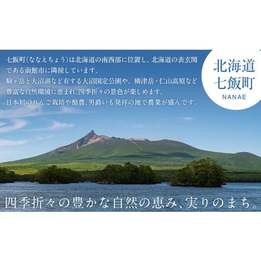 ふるさと納税 水・ミネラルウォーター 500mL〜999mL 北海道 七飯町 ミネラルウォーター夢水氣（500ml×24本）2セット 天然アルカリイオン水 軟水 ふるさと納税…の画像