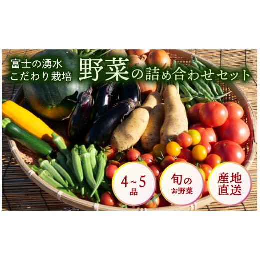 ふるさと納税 セット・詰合せ 静岡県 沼津市 お野菜 4〜5品 詰め合わせセット 富士山の湧水でつくる 四季の美味しい 旬 野菜 Sサイズ