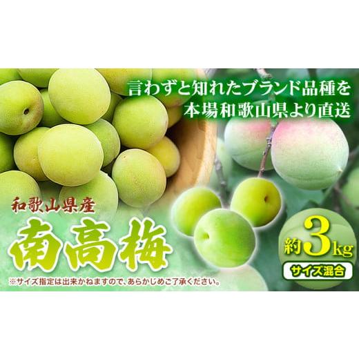ふるさと納税 野菜類 和歌山県 日高川町 先行予約 青梅 南高梅 和歌山県産南高梅 約3kg (サイズ混合) 厳選館[2026年6月上旬-6月下旬頃出荷]和歌山県 日高川…