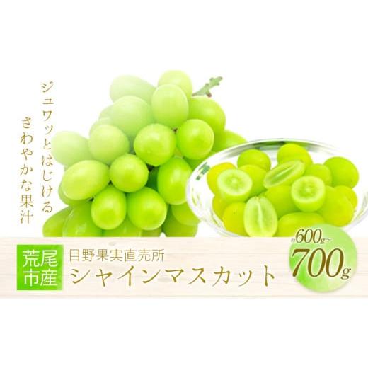 ふるさと納税 ぶどう マスカット 熊本県 荒尾市 シャインマスカット 目野果実直売所のシャインマスカット 約600g〜700g フルーツ 果物 新鮮 マスカット [8月…