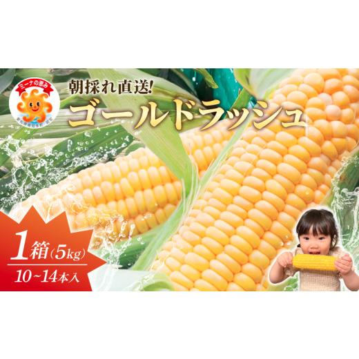 ふるさと納税 とうもろこし 愛知県 南知多町 先行予約 スイートコーン 約5kg(10〜14本×1箱)冷蔵 とうもろこし 国産 朝採れ 合計 約5kg(10~14本×1箱):10,…