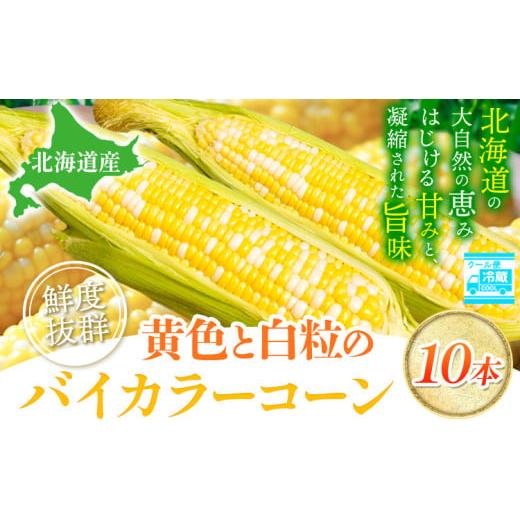 ふるさと納税 とうもろこし 北海道 当別町 1.12-358 2026年先行予約 照之家商店 鮮度抜群 とうもろこし「黄色と白粒のバイカラーコーン」10本| とうもろこし …