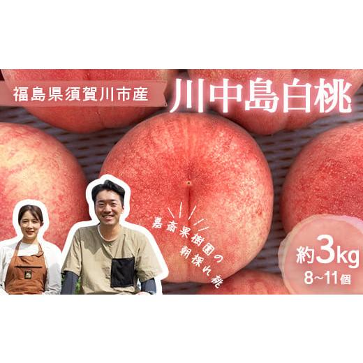 ふるさと納税 もも 福島県 須賀川市  先行受付 嘉斎果樹園の桃「川中島白桃」約3kg（8〜11個） もも モモ 桃 デザート フルーツ 果物 くだもの 果実 食品 F7X-…の画像