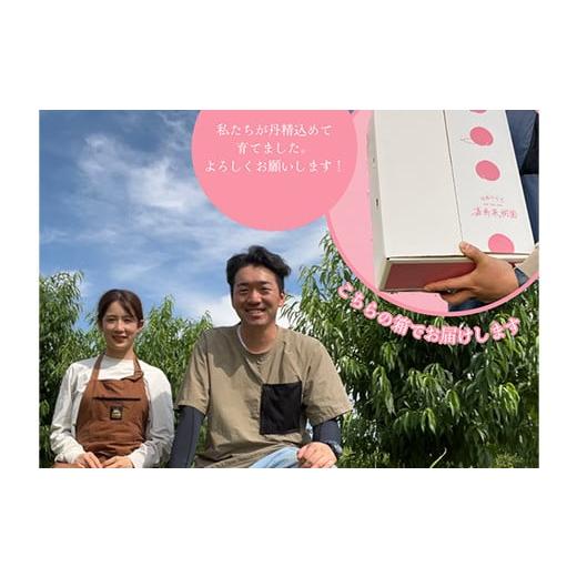 ふるさと納税 もも 福島県 須賀川市  先行受付 嘉斎果樹園の桃「川中島白桃」約3kg（8〜11個） もも モモ 桃 デザート フルーツ 果物 くだもの 果実 食品 F7X-…の画像