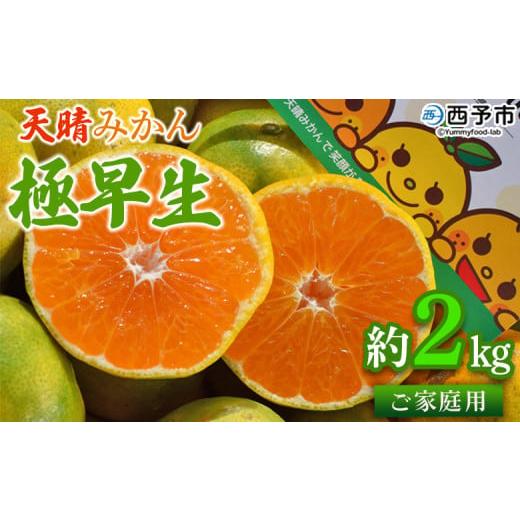 ふるさと納税 果物類 みかん 愛媛県 西予市 天晴みかん 極早生 家庭用 約2kg 温州ミカン 柑橘 果物 くだもの フルーツ 蜜柑 訳あり ワケアリ 自宅用 期間限定…