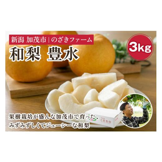 ふるさと納税 梨 新潟県 加茂市 2026年先行予約 新潟県加茂市産 和梨 豊水3kg(5〜9玉)[9月上旬〜順次出荷] なし ナシ ほうすい 果物 フルーツ 秋の味覚 …