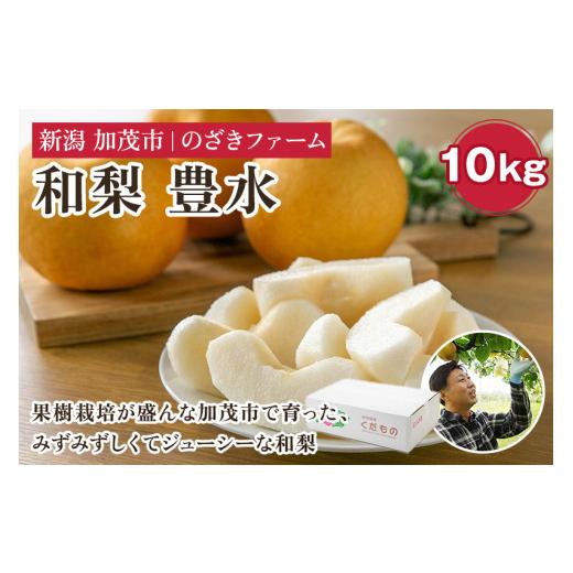 ふるさと納税 梨 新潟県 加茂市 2026年先行予約 新潟県加茂市産 和梨 豊水10kg(16〜32玉)[9月上旬〜順次出荷] なし ナシ ほうすい 果物 フルーツ 秋の味…