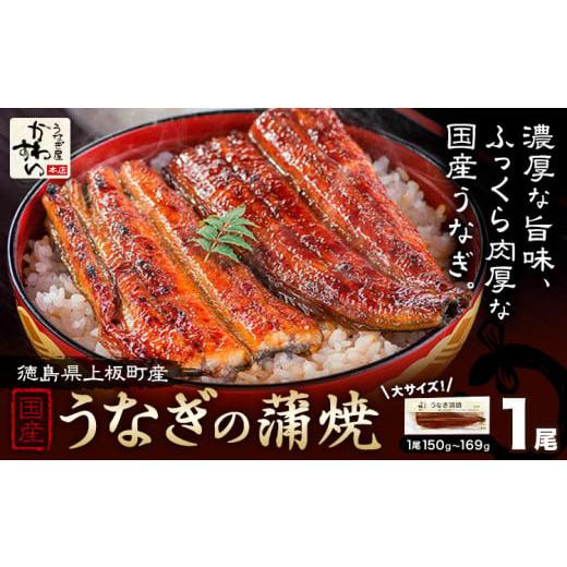 ふるさと納税 うなぎ 徳島県 上板町 うなぎ屋かわすい 国産うなぎの蒲焼 1尾 (1尾150g-169g) 川口水産株式会社[30日以内に出荷予定(土日祝除く)]徳島県 上板…
