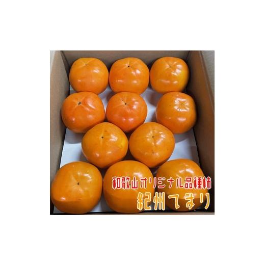 ふるさと納税 果物類 和歌山県 すさみ町 紀州てまり 22〜32玉 和歌山オリジナル品種柿 2026年11月上旬〜11月下旬頃発送予定 GO-09 / かき 柿 カキ フルーツ …