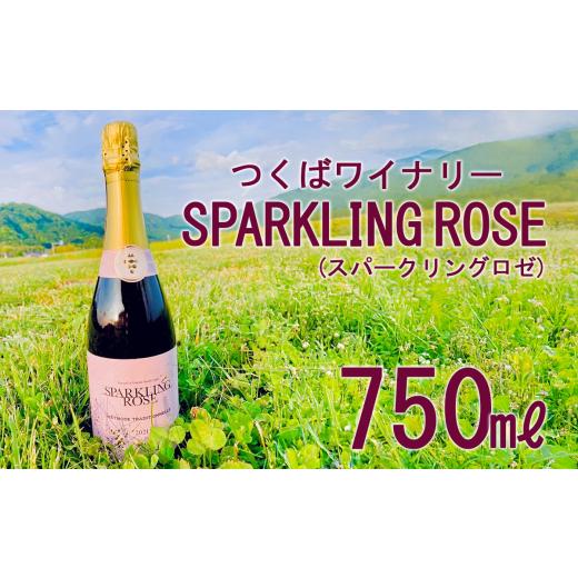 ふるさと納税 ワイン 赤ワイン 茨城県 つくば市 つくばワイナリー SPARKLING ROSE(スパークリングロゼ) お酒 葡萄 ぶどう ブドウ 茨城県産 つくば市産 ワイナ…