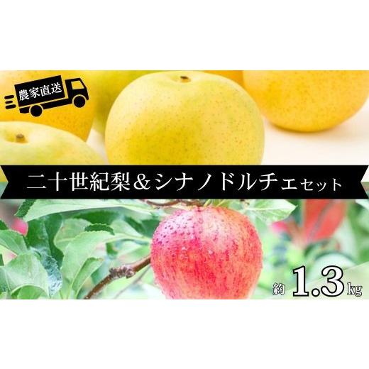 ふるさと納税 りんご 長野県 松川町 HF34 長野県松川町産 農家直送 2品種楽しめる二十世紀梨&amp;シナノドルチェセット 約1.3kg/9月中旬発送開始予定 // 長…