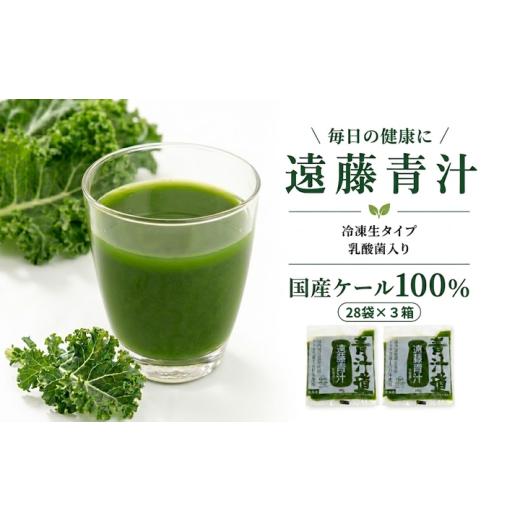 ふるさと納税 果汁飲料 やさい 高知県 南国市 遠藤青汁 生 冷凍 3箱 8.4kg( 100g × 84袋 ) | 健康 美容 乳酸菌 国産 ケール ビタミン ミネラル 食物繊維 冷凍…_1