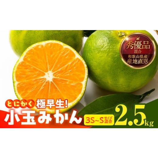 ふるさと納税 果物類 みかん 和歌山県 湯浅町 MK1077_ 2026年先行予約 とにかく小玉 みかん 極早生 箱込 2.5kg ( 内容量 2.3kg ) 3S〜Sサイズ 秀品 優品 混合 …