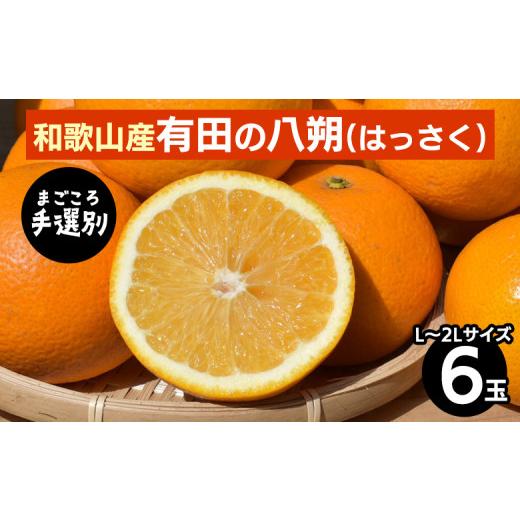 ふるさと納税 みかん・柑橘類 和歌山県 美浜町 先行予約 有田の八朔 (はっさく) 6玉×1箱 L〜2L サイズ混合 和歌山県産