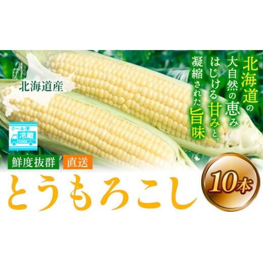 ふるさと納税 とうもろこし 北海道 当別町 1.12-359 2026年先行予約 照之家商店 鮮度抜群とうもろこし10本 | とうもろこし トウモロコシ 北海道とうもろこし …