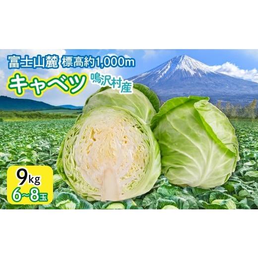 ふるさと納税 野菜類 山梨県 鳴沢村 2026年発送 キャベツ 9kg (6〜8玉) NSAK005 | ふるさと納税 キャベツ 新鮮 美味しい シャキシャキ 野菜 山梨県 鳴…