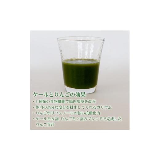 ふるさと納税 フルーツジュース飲み物 林檎 高知県 南国市 りんご青汁 生 氷結 3箱 8.4kg( 100g × 84袋 ) | 思わしい 美容 乳酸菌 国産 ケール りんごの木 リンゴの木 ヴィタミン 鉱物…