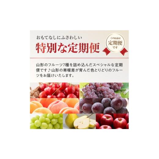ふるさと納税 果物類 さくらんぼ 山形県 大江町  先行受付 お・も・て・な・し山形フルーツ便 定期便全６回 060-T06_2