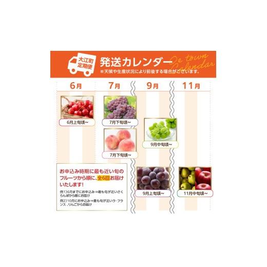 ふるさと納税 果物類 さくらんぼ 山形県 大江町  先行受付 お・も・て・な・し山形フルーツ便 定期便全６回 060-T06_3