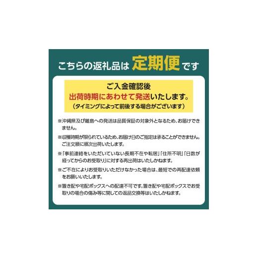 ふるさと納税 果物類 さくらんぼ 山形県 大江町  先行受付 お・も・て・な・し山形フルーツ便 定期便全６回 060-T06_4