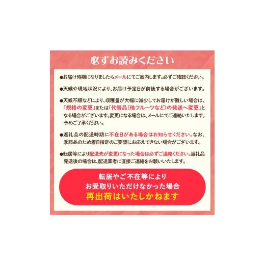 ふるさと納税 果物類 さくらんぼ 山形県 大江町  先行受付 お・も・て・な・し山形フルーツ便 定期便全６回 060-T06_6