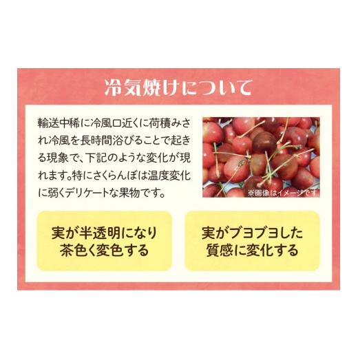 ふるさと納税 果物類 さくらんぼ 山形県 大江町  先行受付 お・も・て・な・し山形フルーツ便 定期便全６回 060-T06_7