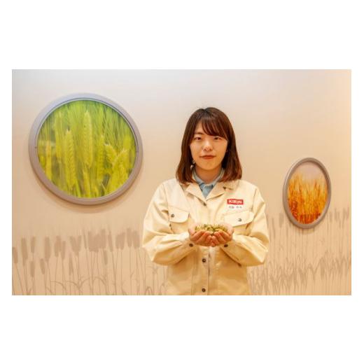 ふるさと納税 麦酒 滋賀県 多賀町  定期便12回 麒麟 SPRING VALLEY BREWERY JAPAN金切り声 香 350ml × 24本 × 12ヶ月 | 弾機排球 24缶 ジャパンエ…