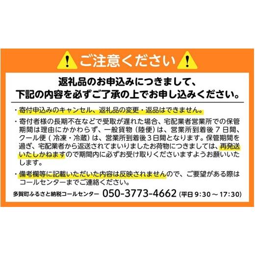 ふるさと納税 麦酒 滋賀県 多賀町  定期便12回 麒麟 SPRING VALLEY BREWERY JAPAN金切り声 香 350ml × 24本 × 12ヶ月 | 弾機排球 24缶 ジャパンエ…