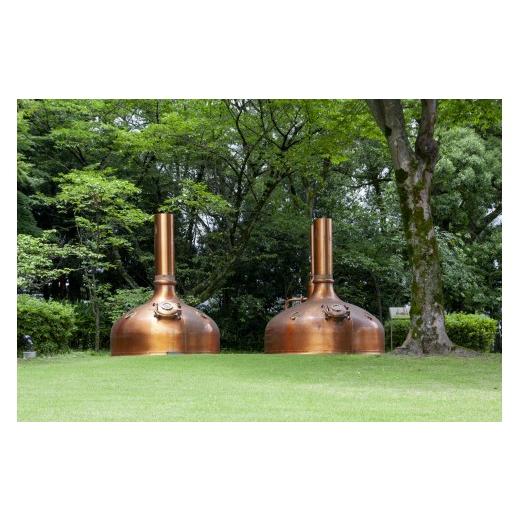 ふるさと納税 麦酒 滋賀県 多賀町  定期便12回 麒麟 SPRING VALLEY BREWERY JAPAN金切り声 香 350ml × 24本 × 12ヶ月 | 弾機排球 24缶 ジャパンエ…