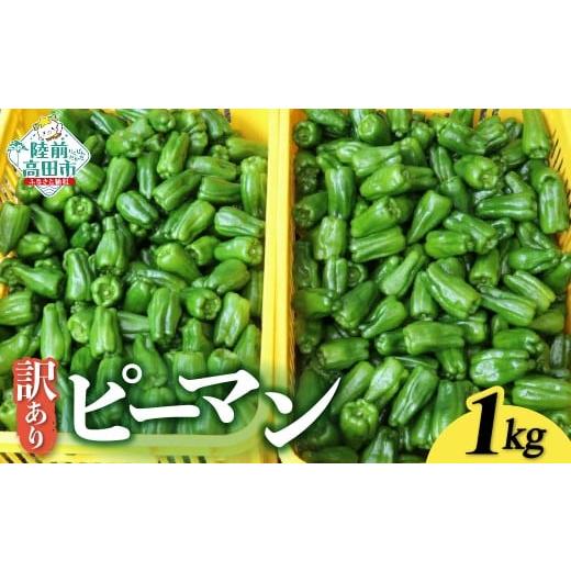 ふるさと納税 野菜類 岩手県 陸前高田市 先行予約 訳あり 規格外 ピーマン 約1kg 不揃い 産地直送 新鮮 料理 野菜 大容量 岩手県 陸前高田市 Farm Koganeyama …