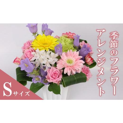 ふるさと納税 雑貨・日用品 花 静岡県 牧之原市 季節のお花をお届け フラワーアレンジメント Sサイズ お花 母の日 父の日 カーネーション ガーベラ かわいい …