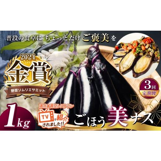 ふるさと納税 野菜類 茄子 栃木県 真岡市 定期便3回 野菜ソムリエサミット金賞「ごほう美ナス」約1kg | 野菜 やさい 茄子 なす ナス ふるさと納税 栃木県 真…