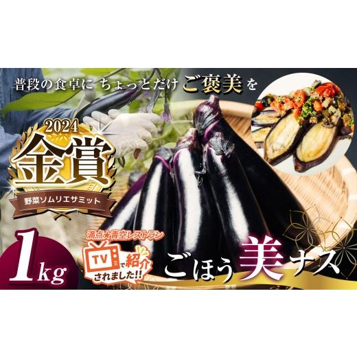 ふるさと納税 野菜類 茄子 栃木県 真岡市 野菜ソムリエサミット金賞「ごほう美ナス」約1kg | 野菜 やさい 茄子 なす ナス ふるさと納税 栃木県 真岡市 1kg | 6…