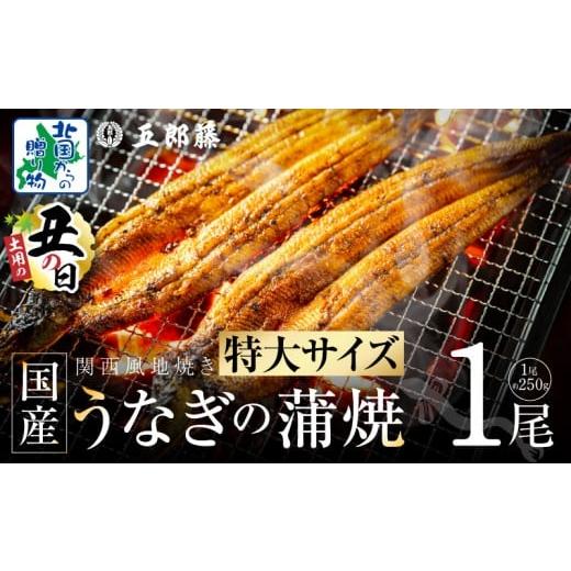 ふるさと納税 うなぎ 大阪府 泉佐野市 7/26土用の丑の日 超ビッグサイズ 数量限定 老舗「五郎藤」 関西風地焼き 国産有頭旨鰻 250g×1尾 特大 うなぎ ウナギ…